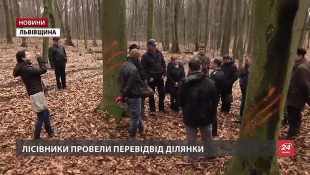 Суцільні вирубки у Завадівському заказнику припинять