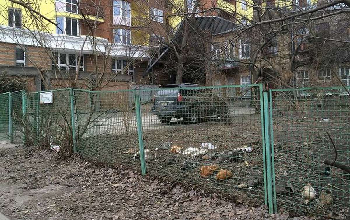 В Києві невідомі потруїли рідкісних птахів на подвір’ї місцевого колекціонера