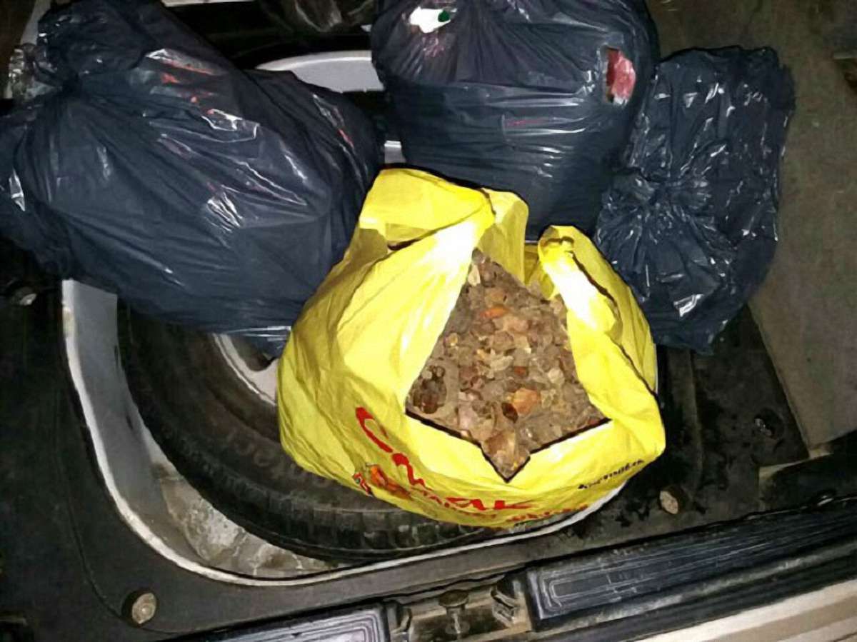 У Рівному жителю Барселони загрожує тюремний термін через перевезення бурштину