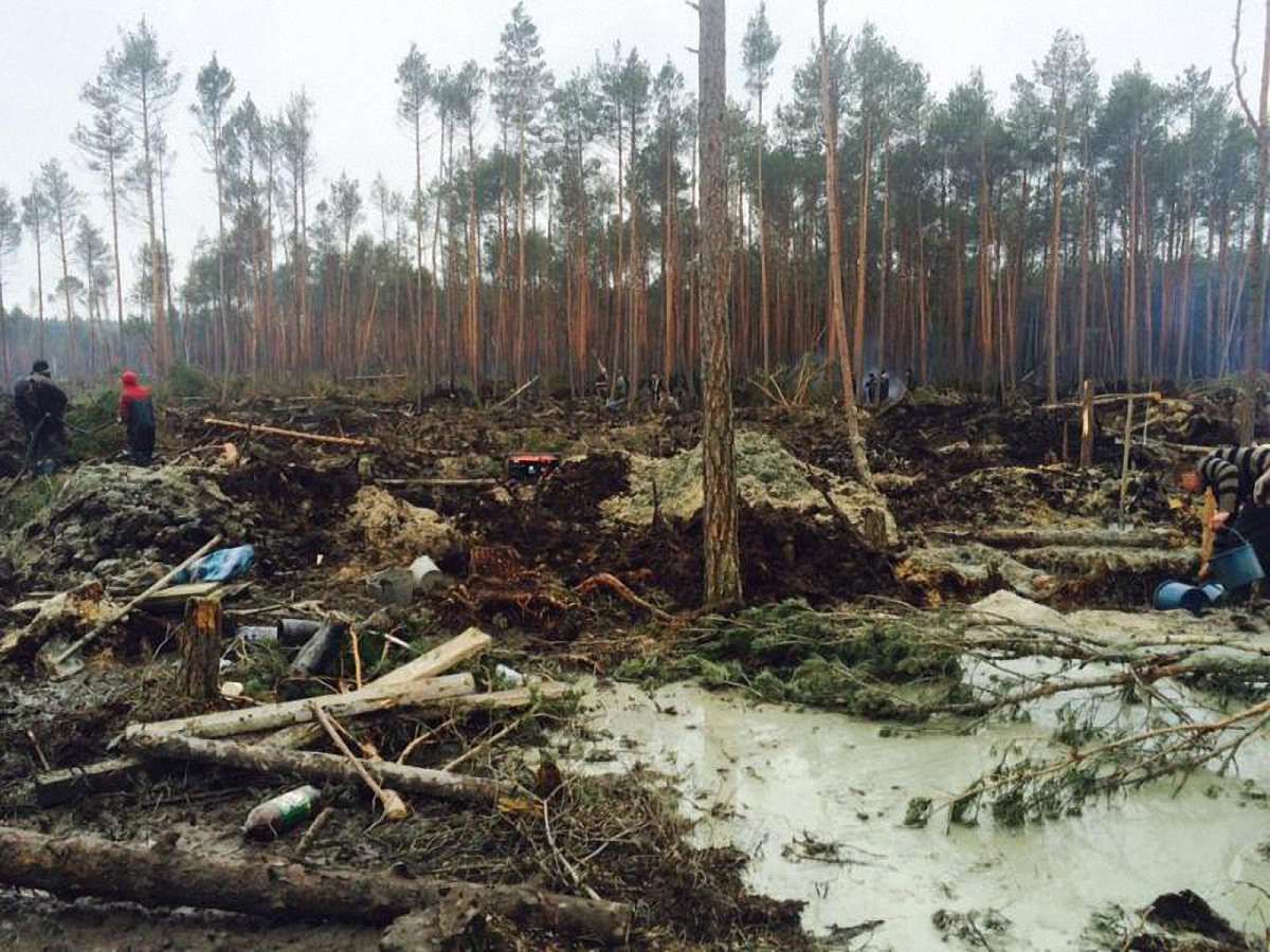 Україна офіційно заявила про відкриття ринку бурштину для іноземців