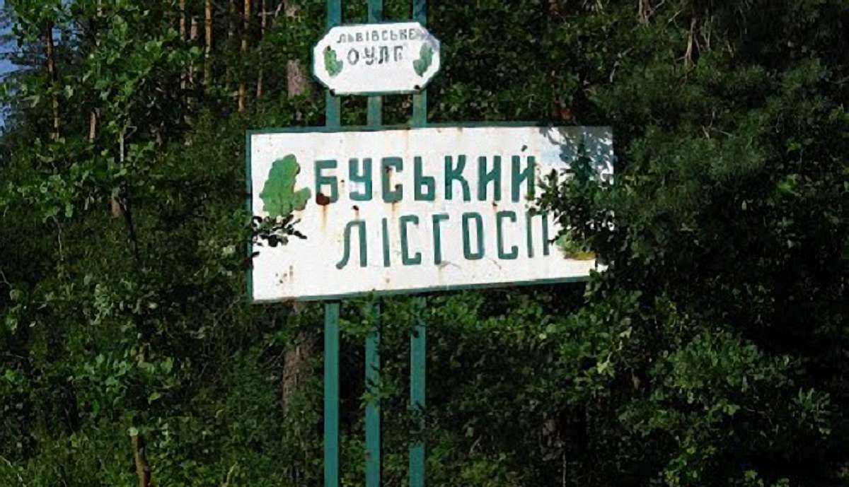 Працівницю Буського лісгоспу засудили на рік умовно за ремонт автомобілів коштом підприємства