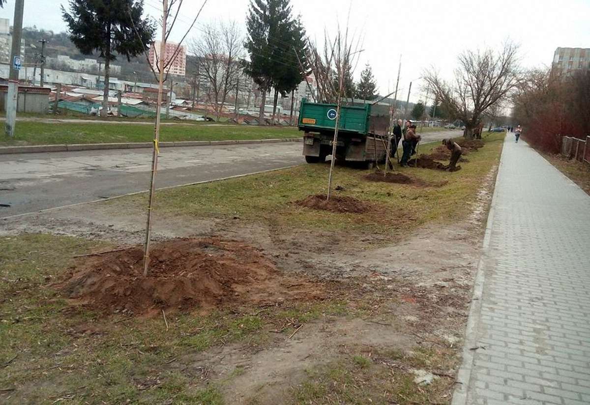 У Львові розпочали весняну висадку дерев