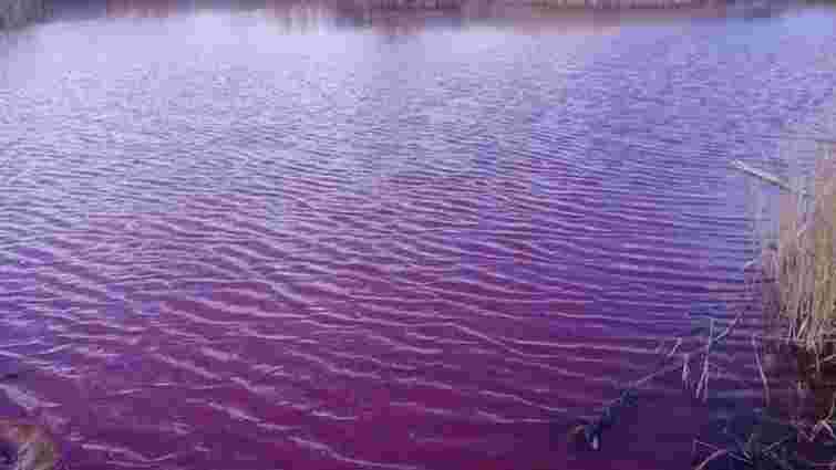 На Чернігівщині вода в озері з невідомих причин стала рожевою