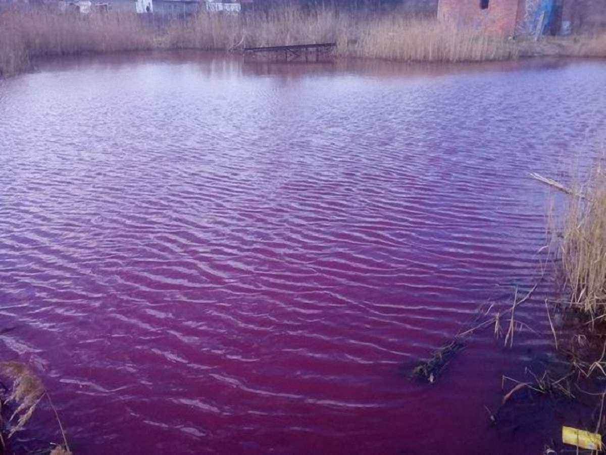 На Чернігівщині вода в озері з невідомих причин стала рожевою