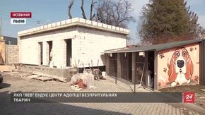 У Львові вже у травні запрацює Центр адопції для безпритульних тварин