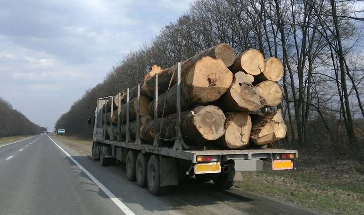На Львівщині затримали вантажівку з деревиною без документів