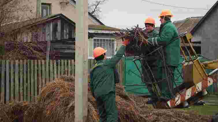 Львівські енергетики допомагають лелекам будувати гнізда