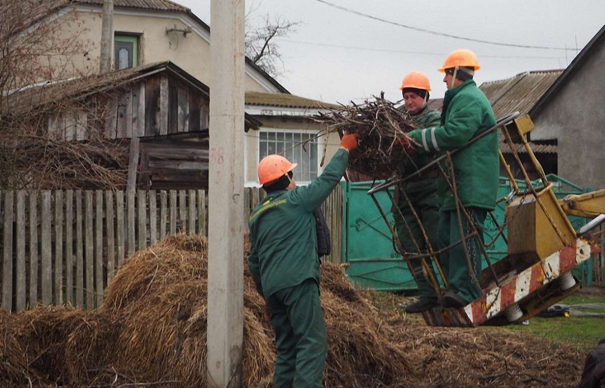 Львівські енергетики допомагають лелекам будувати гнізда