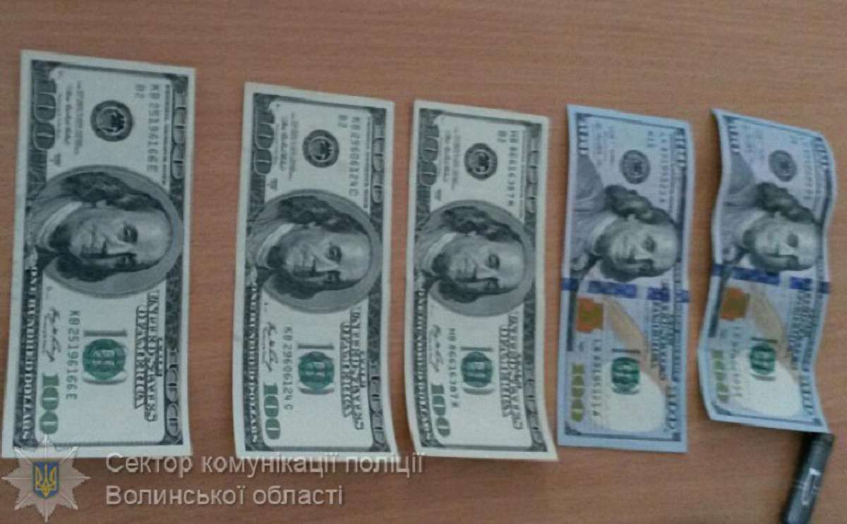 У Луцьку заарештували бурштинокопача, котрий пропонував хабар $500 слідчому