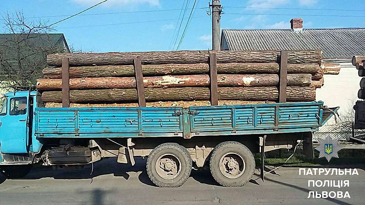 На Львівщині патрульні зупинили два автомобілі з деревом без документів