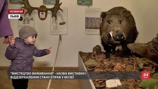 У Львові може закритися один із найбагатших на скарби природничих музеїв Європи