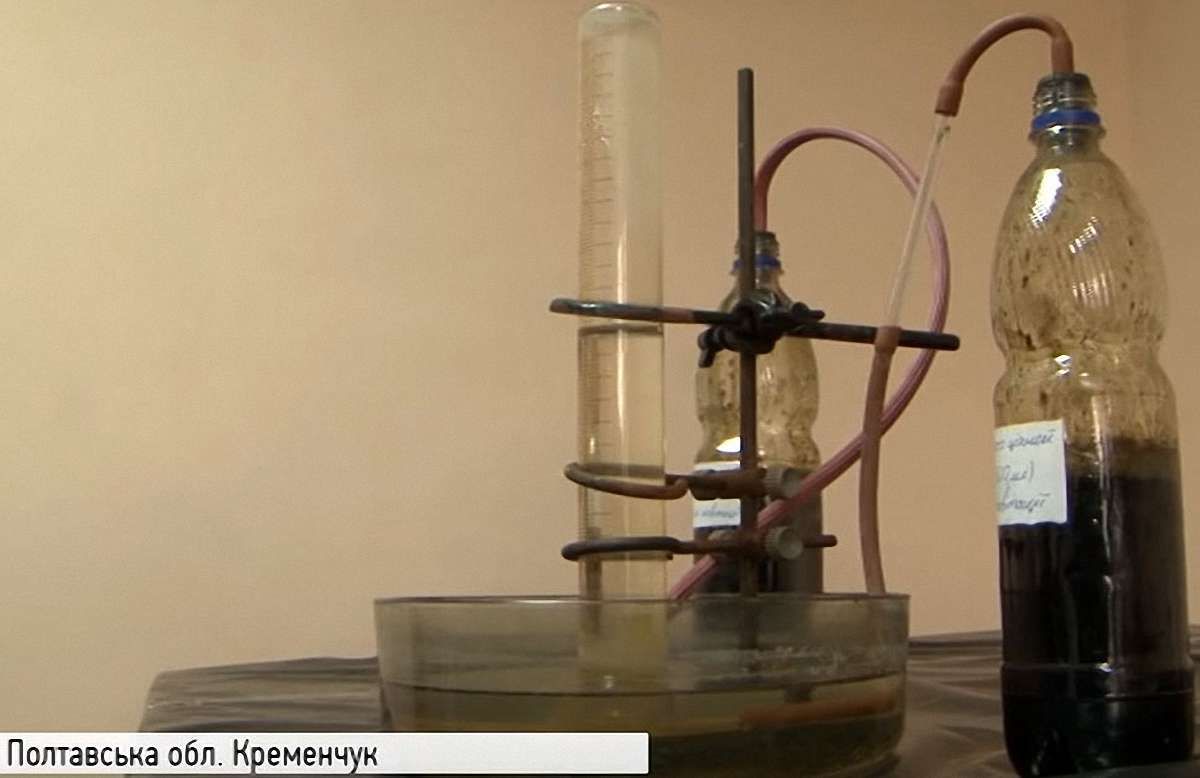 Українські науковці навчилися отримувати газ з водоростей
