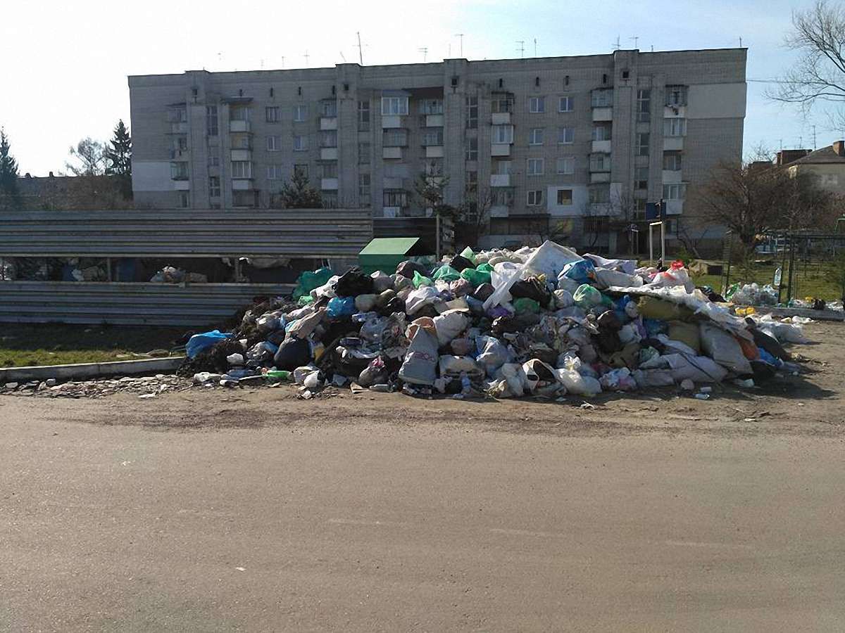 Майже половина сміттєвих контейнерів у Львові є переповненими