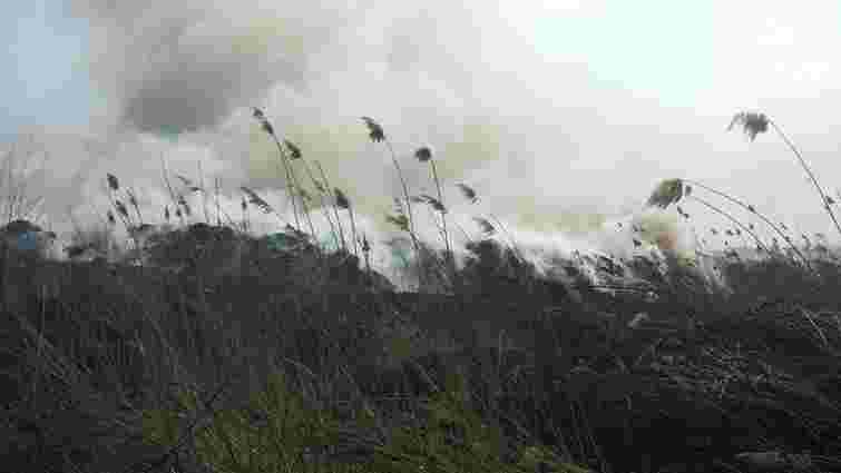 Пожежники майже добу гасили пожежу на сміттєзвалищі поблизу Новояворівська