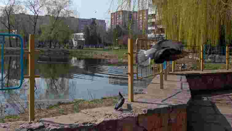 Львівські архітектори запропонували оновити озеро на вулиці Симоненка