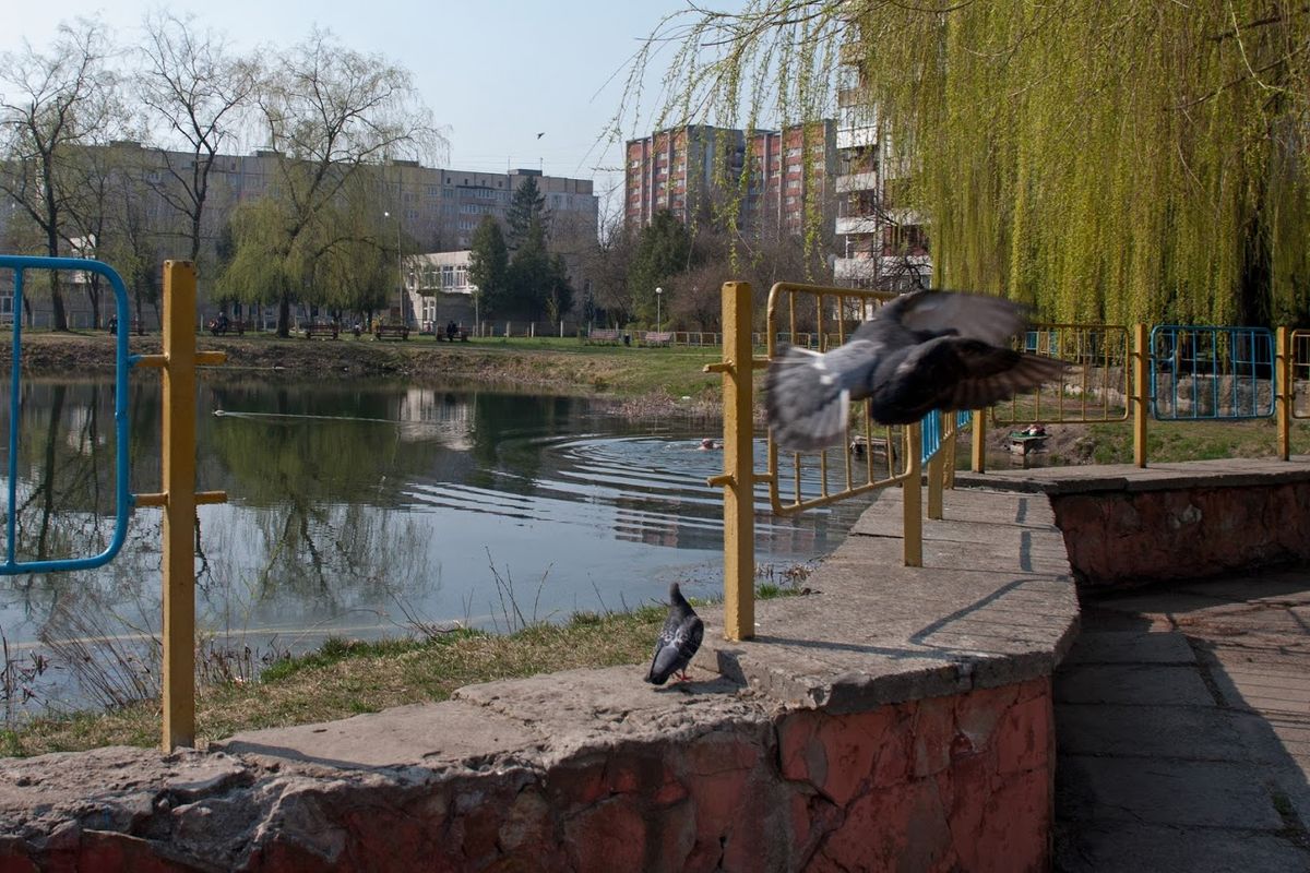 Львівські архітектори запропонували оновити озеро на вулиці Симоненка