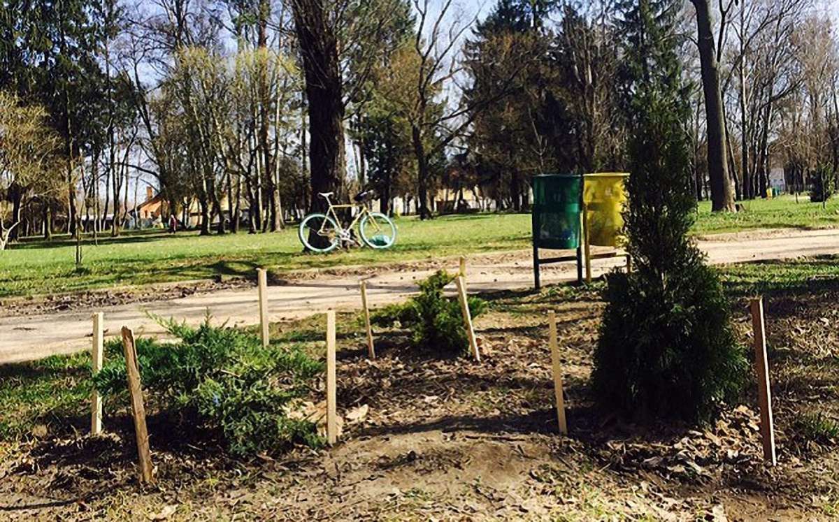 Невідомі вкрали дерева, які посадили у Левандівському парку під час толоки