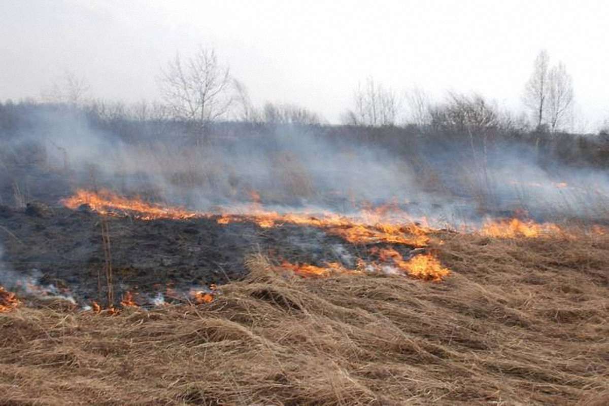 Віце-прем'єр пригрозив відбирати землі у безвідповідальних власників, які спалюють суху траву