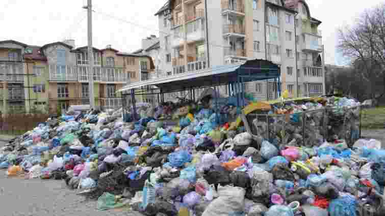 Переповненими є близько третини сміттєвих майданчиків Львова