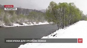 Синоптики прогнозують можливі снігопади на Львівщині до кінця місяця