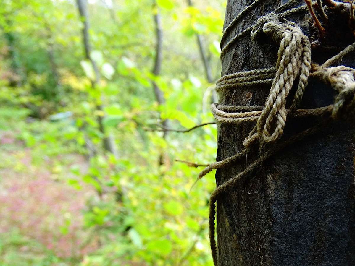 На Волині знайшли повішеною 15-річну дівчину