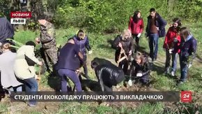 Підніжжя гори Лева засадили молодими грабами