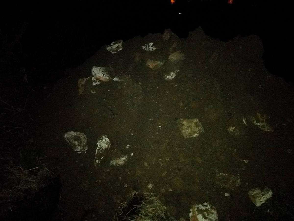На територію парку-заказника в Луцьку вивезли 4 вантажівки сміття з людськими рештками