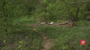 У львівському парку «Знесіння» визначили легальні місця для пікніків