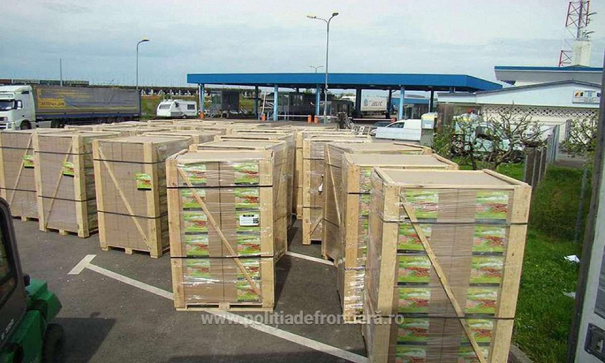 Румунські прикордонники конфіскували 100 тис. пачок контрабандних цигарок з України