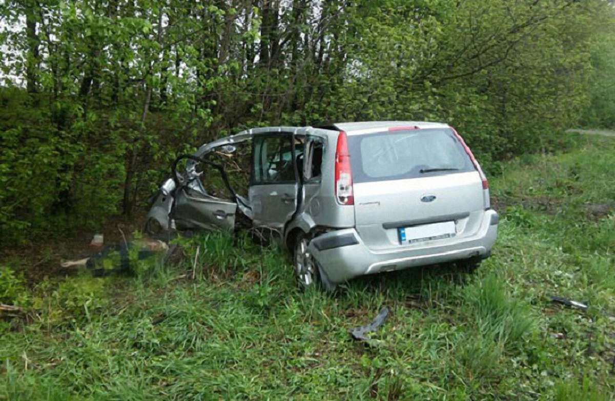 На Рівненщині водій легковика врізався в електроопору і загинув