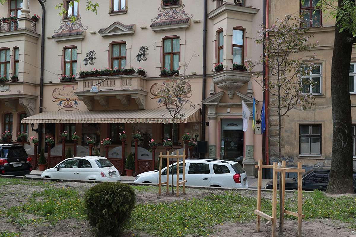 На площі Маланюка пересадили дерева, які заважали проведенню фестивалю 