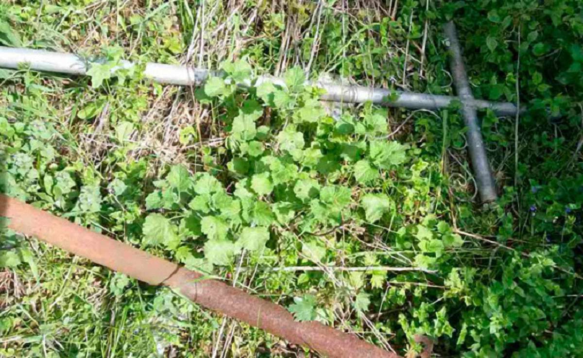 На Рівненщині затримали викрадача могильних хрестів