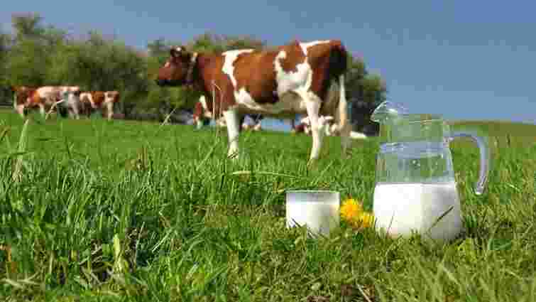 Міністерство аграрної політики хоче заборонити молоко другого сорту