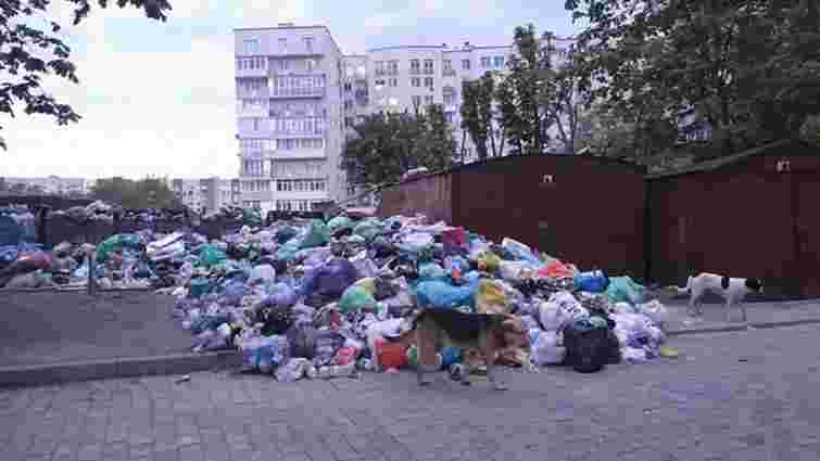 Львівських перевізників ТПВ зобов’язали проводити дератизацію переповнених сміттєвих майданчиків