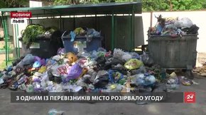 У Львові сміттєві контейнери чиститимуть за допомогою спецзасобів