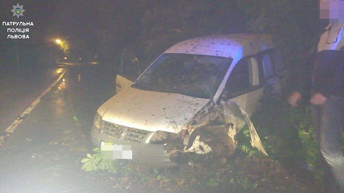 За одну ніч львівські патрульні зупинили десятьох п'яних водіїв