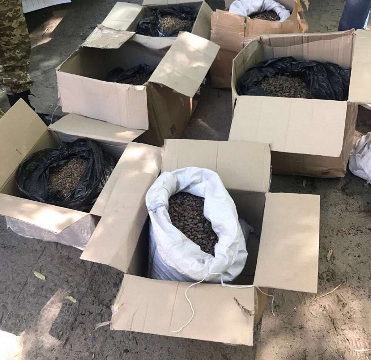 СБУ затримала організаторів контрабанди бурштину з Львівщини до ЄС
