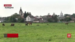 Історики розробили туристичний маршрут найнебезпечнішим шляхом Львівщини