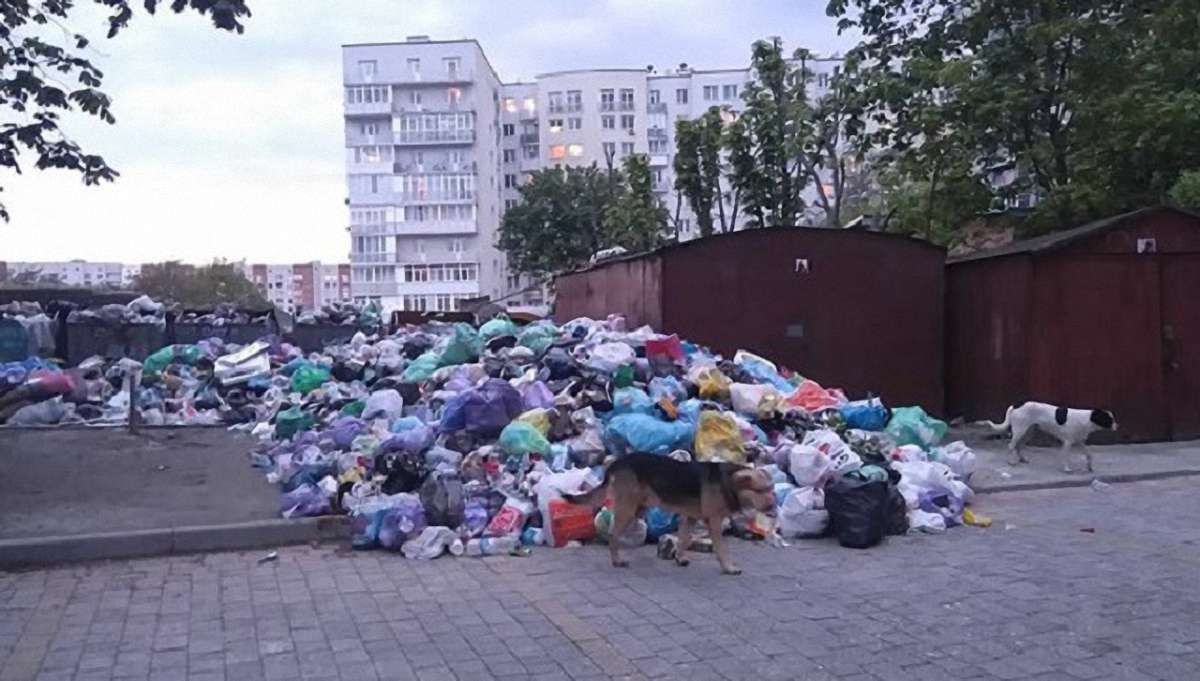 У Шевченківському та Сихівському районах найгірша ситуація з вивозом сміття