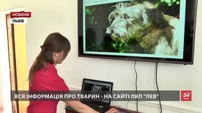 У Львові відкрили перший в Україні центр адопції тварин