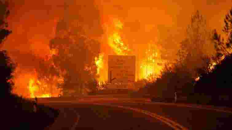 У Португалії 16 людей згоріли в автомобілях під час лісової пожежі