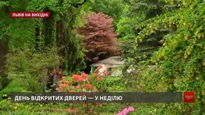 Культурні події на вихідних у Львові