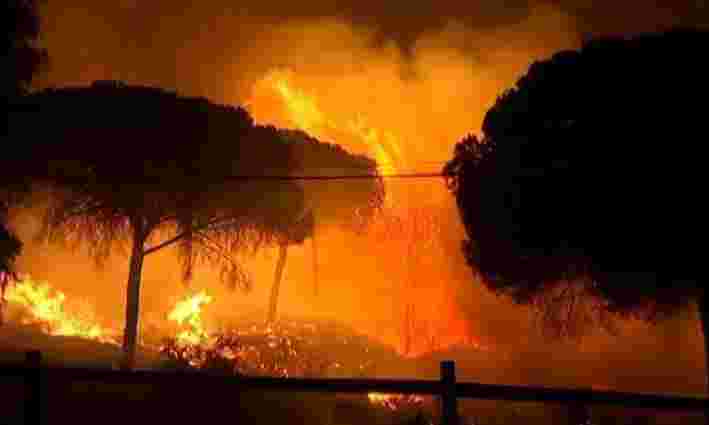 В Іспанії через лісову пожежу евакуювали понад 2 тис. осіб