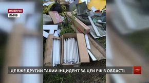Ціле звалище відпрацьованих люмінесцентних ламп виявили біля Львова