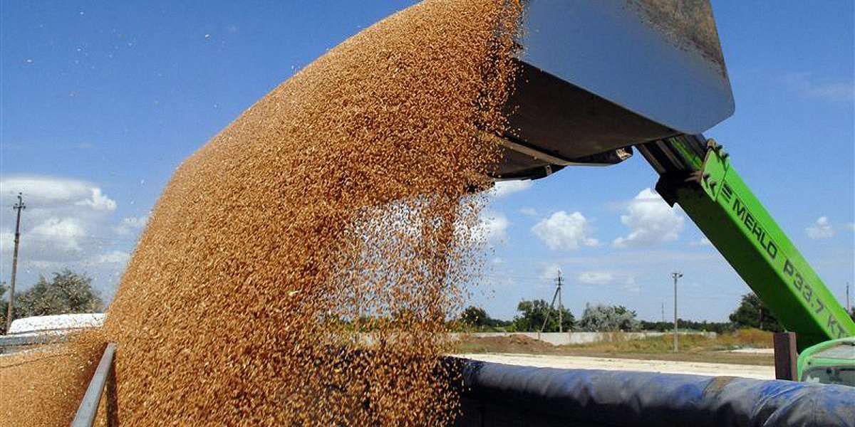 Україна встановила новий рекорд з експорту зернових