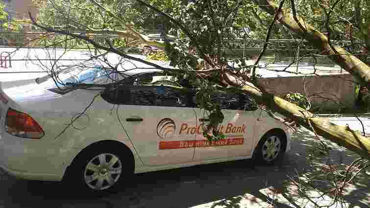 Сильний вітер повалив дерева у Львові