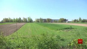 У Львівській міськраді розповіли, як продавали ділянку під технопарк у Рясному-2