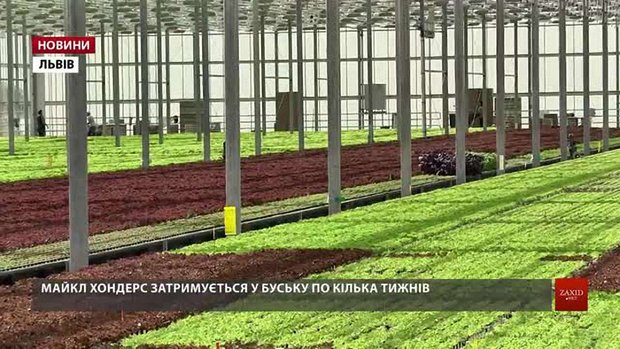 В Україні з вересня почнуть діяти нові правила працевлаштування для іноземців