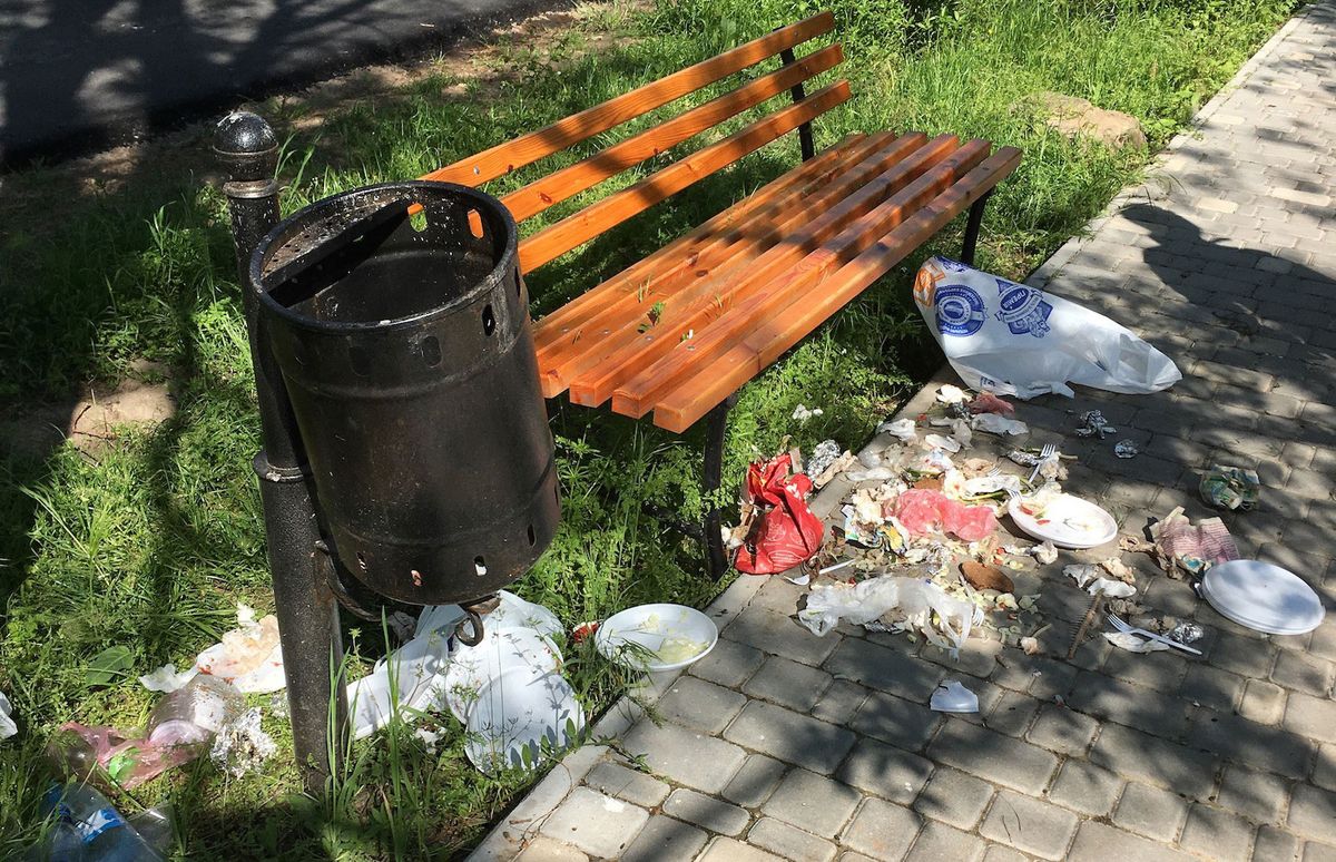 Депутати БПП запропонували штрафувати українців за викидання сміття поза урнами