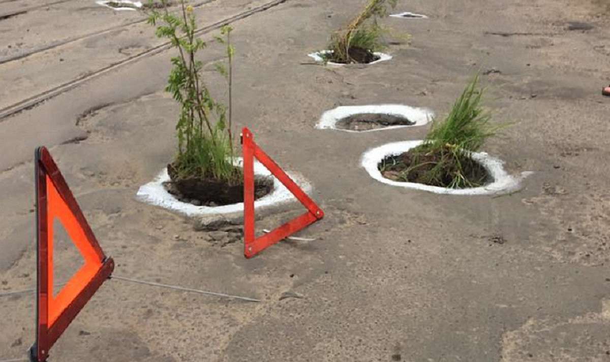 Активісти засадили рослинами вибоїни на вул. Замарстинівській у Львові